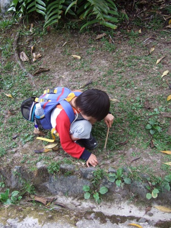 kinabalu3.jpg