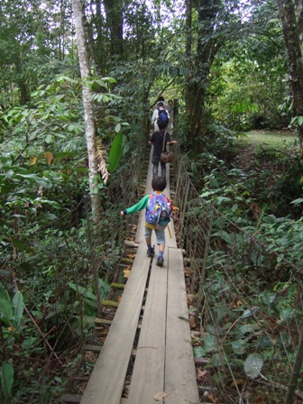 kinabalu4.jpg